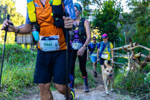 BIB: 9461, 1071
                            <button type="button" onclick="openModal(19041788)" class="btn btn-primary btn-sm float-right btn-popup" data-toggle="modal" data-target=".modal-high-quality">
                        <i class="fas fa-shopping-cart"></i> Add to Cart
                    </button>
                                            <button type="button" onclick="isThisMe(19041788, true)" class="btn btn-success btn-sm float-right btn-popup btn-isme hidden" data-toggle="tooltip" data-placement="bottom" title="นี่คือรูปของคุณใช่ไหม คลิกที่นี่เพื่อเอาเข้าอัลบั้ม">
                        <i class="fas fa-plus"></i> Add to album
                    </button>
                    <button type="button" onclick="isThisMe(19041788, false)" class="btn btn-warning btn-sm float-right btn-popup btn-isnotme hidden">
                        <i class="fas fa-ban"></i> Remove from album
                    </button>